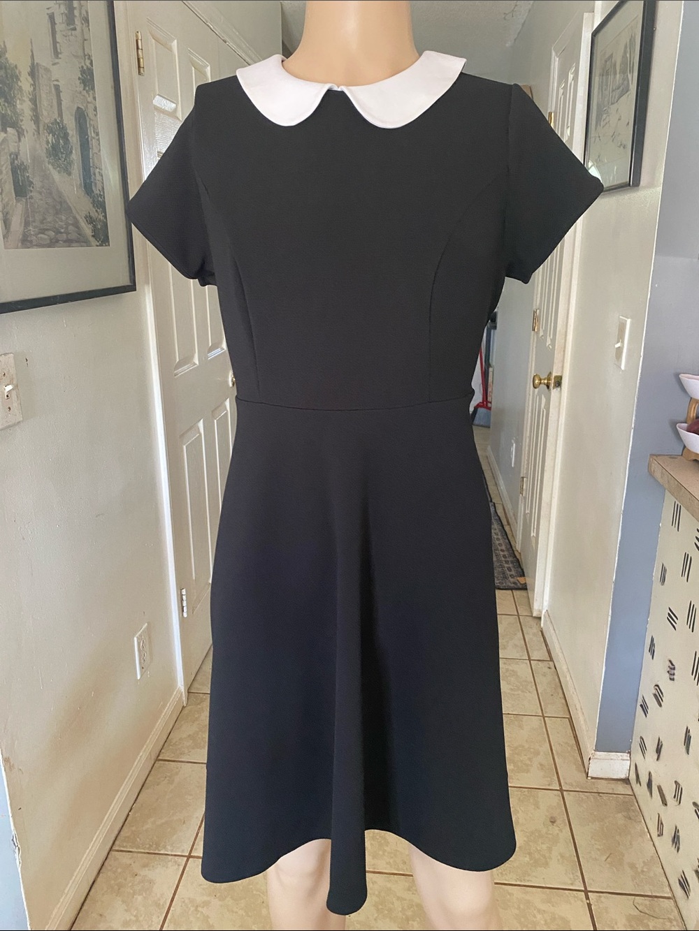torrid Black Fit-and-Flare Dress with White Peter Pan Collar